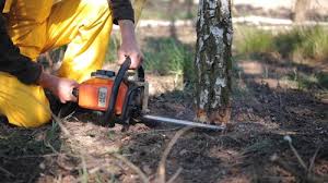 Best Lawn Irrigation Installation and Maintenance  in Mcalester, OK