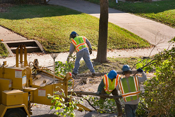 Best Lawn Maintenance Plans  in Mcalester, OK